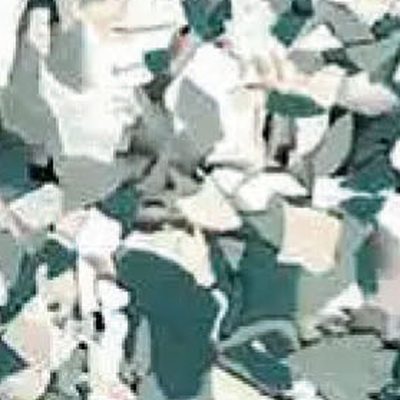 Basil flake floor coating color