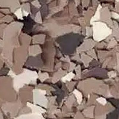 Latte flake floor coating color
