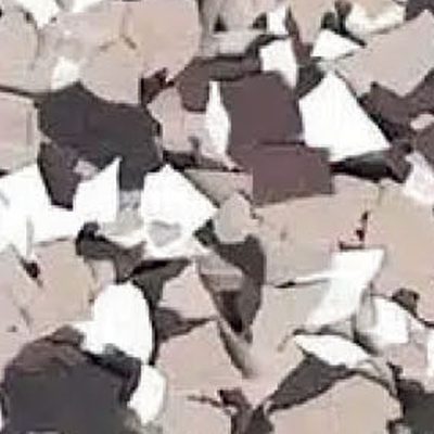 Nutmeg flake floor coating color